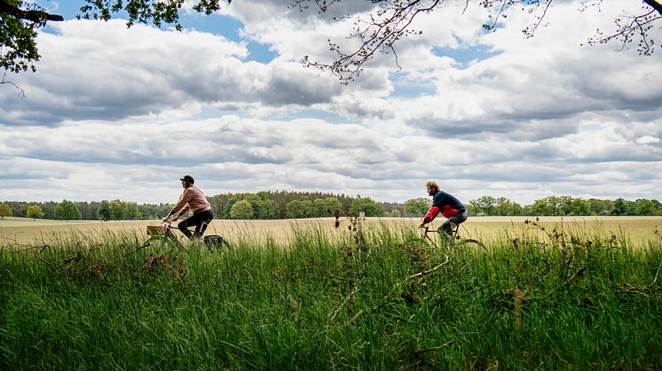 Radfahren in Brandenburg – hier findet jede und jeder seine individuelle Tour. Foto: Madlen Krippendorf