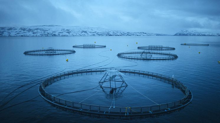 Acuicultura en el Mar de Noruega