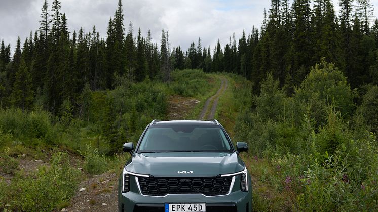 Kia Sorento PHEV MY2025