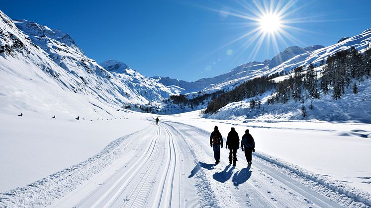 Winterwanderung im malerischen Fextal im Engadin, Kanton Graubünden © Copyright by Switzerland Tourism / By-Line swiss-image.ch Fotograf Robert Boesch