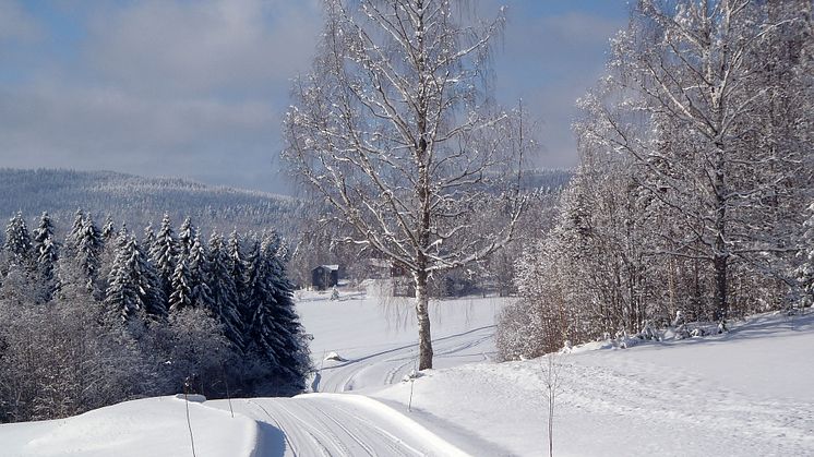 KSLA har valt in 23 nya ledamöter, varav 7 i Jordbruksavdelningen. Foto: Ylva Nordin.