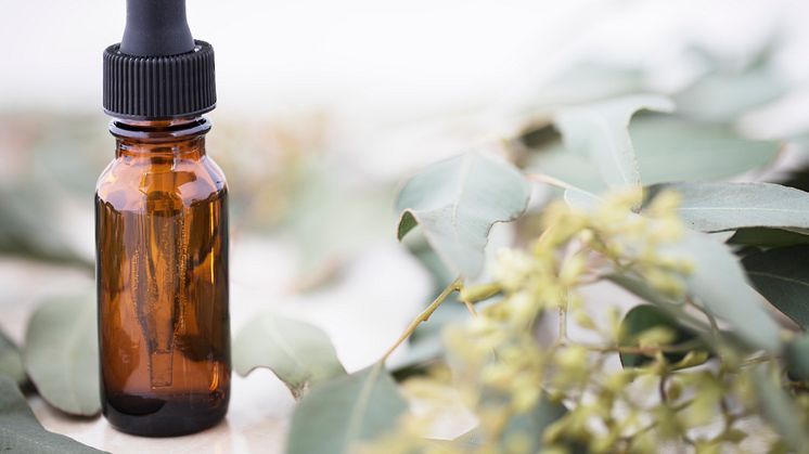 ​Third round table on essential oils sees progress on REACH registration