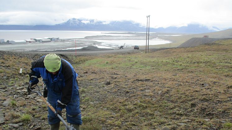 Cleaning up in Svea (Photo: Akvaplan-niva). 