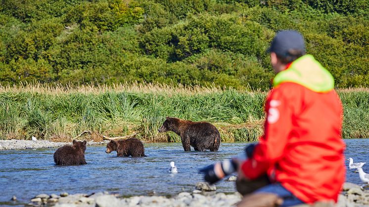 Hurtigruten Expeditions Donates 1% of each Alaskan Booking During Earth Week to Protect Alaskan Wildlife 