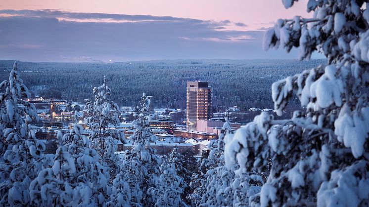 Sara Kulturhus och The Wood Hotel har blivit en fyr till Skellefteå. Foto: Visit Skellefteå