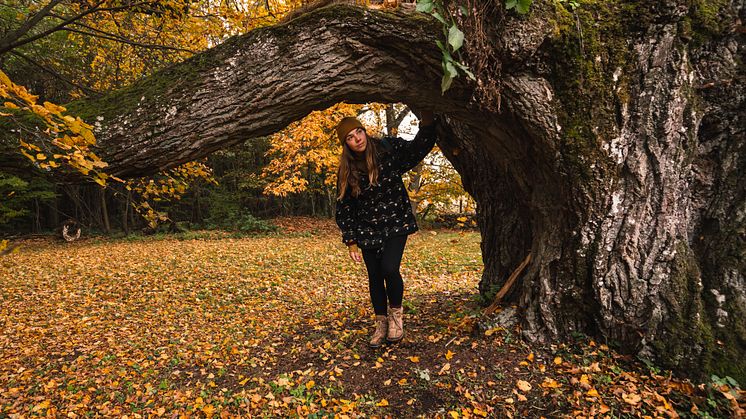 Wanderin an einem alten Baum