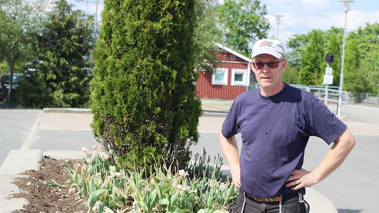 Jörgen Andersson vid en av planeringarna där det stulits blommor.