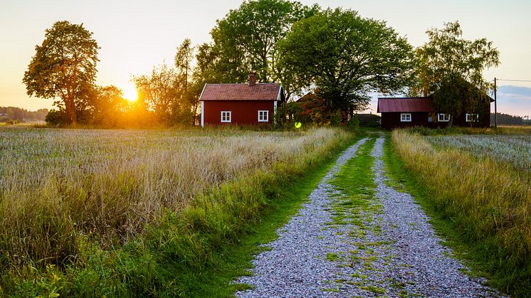 Tjäna tusentals kronor på att hyra ut stugan i sommar