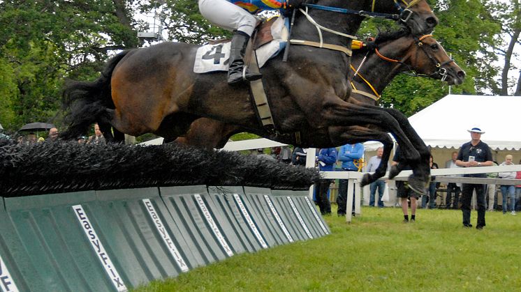 Litet men naggande gott fält i Svenskt Grand National