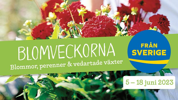Blomveckorna Från Sverige 2023