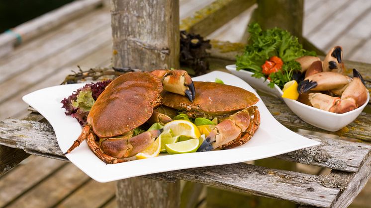 Nå er det igjen tid for krabbe, som er på sitt beste nå om høsten.
