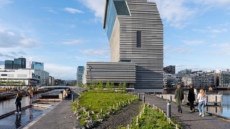 Området utenfor MUNCH. Her skal Moren (The Mother) få sin plass i en liten blomstereng. Foto: Istvan Virag, Kulturetaten, Oslo kommune.