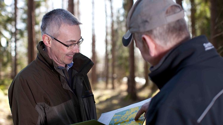 Ludvig & Co satsar inom skogssegmentet för att vara kundernas förstahandsval