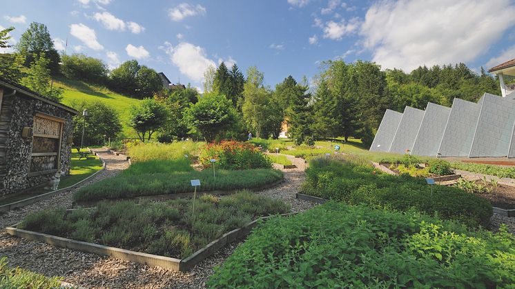 Kräutergarten des Hotel Hof Weissbad 