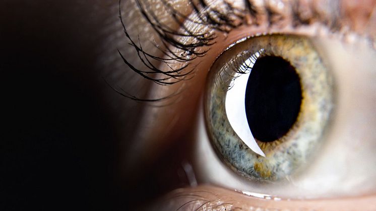 Ögonfonden stödjer forskning i världsklass kring ögat, seendet och ögats sjukdomar. Foto: Istock