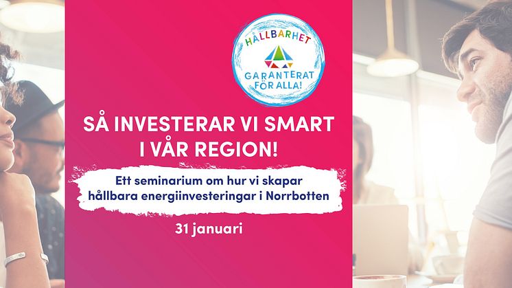 Seminarium om hur vi skapar hållbara energiinvesteringar i Norrbotten, 31 januari