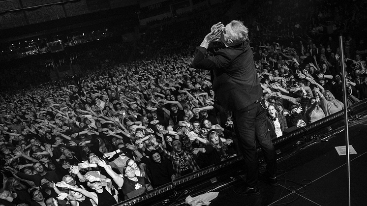 Janove på hjemmebane i DNB Arena i Stavanger i høst. Foto: Grethe Nygaard.