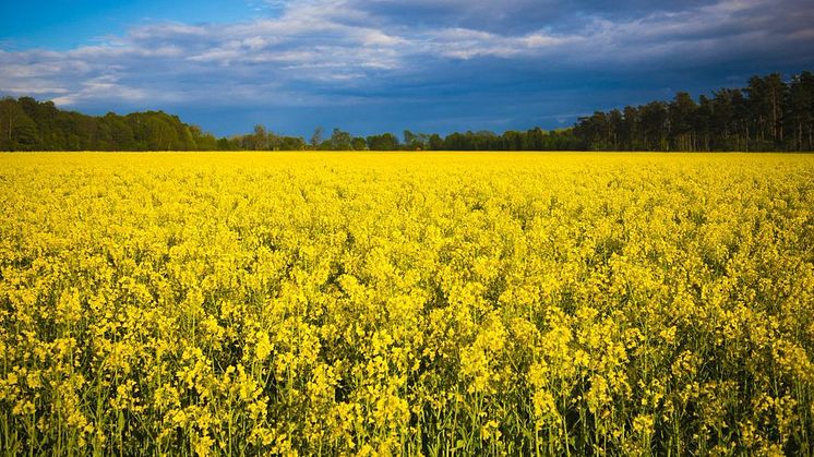 Region Skåne ska satsa på forskarutrymmen för fler medarbetare