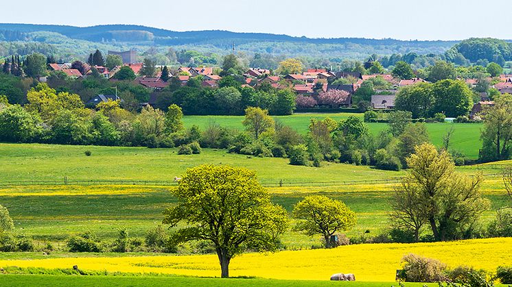 Natur_skåne 1000x500