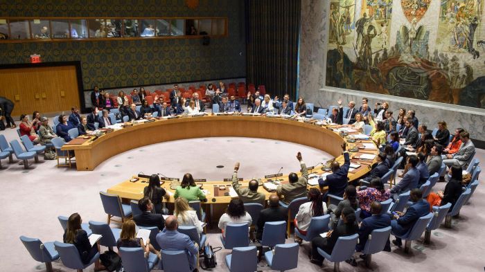 Sveriges medlemskap i FN:s säkerhetsråd utvärderat