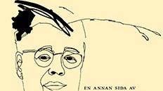 En annan sida av Stieg Larsson