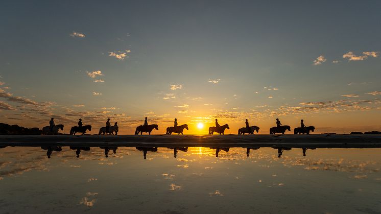 Horseback riding under the Midnight Sun at Hov in Lofoten. Photo: Hallvard Kolltveit - Destination Lofoten