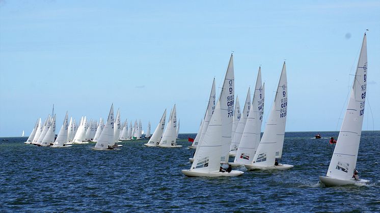 Dragon class yachts in the 2019 Gold Cup