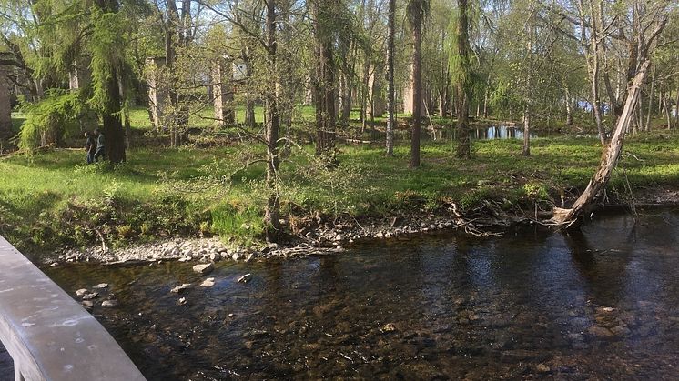 Grängshammars Engelska park. Foto Helena Kåks