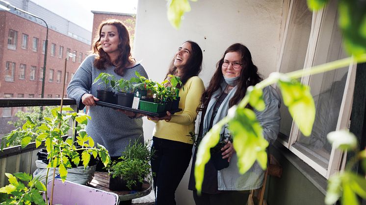 Odlingar bidrar med gemenskap mellan hyresgäster och nya miljöer för vilda pollinatörer.