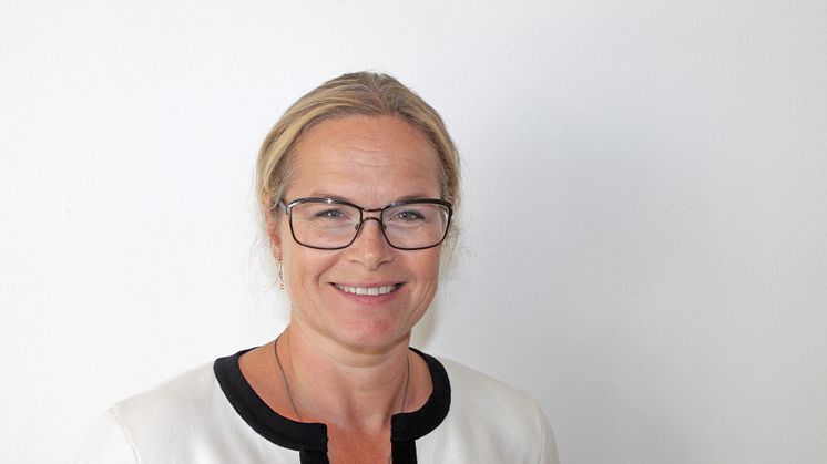 – Många internationella företag ser Sverige som ett föregångsland, menade Sussi Wetterlin som är vd för BASTA.