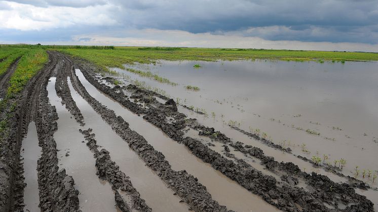 Danish Agro og Topdanmark i nyt samarbejde: Vil sikre landmænd mod økonomisk tab efter tørke eller skybrud