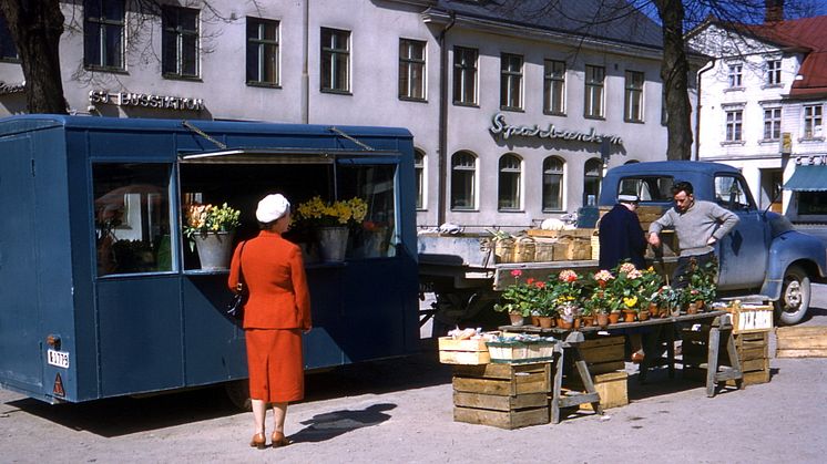 Den här bilden, och ytterligare 6 bilder, kan du se på de folierade elskåpen på Ronneby Torg.