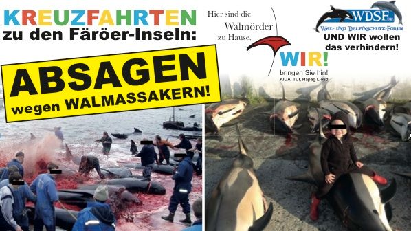 Profitänzerin Motsi Mabuse mit Kreuzfahrtschiff auf den Färöer-Inseln - Walschützer protestieren