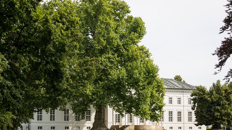 Zeit zum Hören, Denken, Reden, Genießen und vielem mehr bietet das neue Programm von Schloss Neuhardenberg im Seenland Oder-Spree. Foto: TMB-Fotoarchiv/Yorck Maecke.