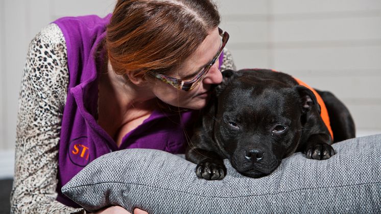 Cocos är Årets sociala tjänstehund