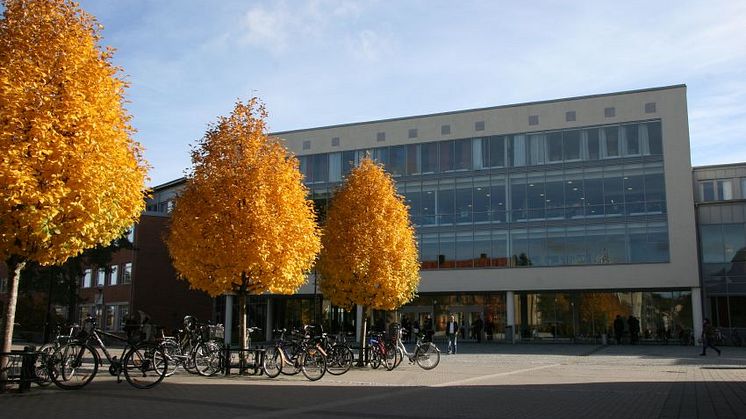 Flera nya kurser att söka till vårterminen