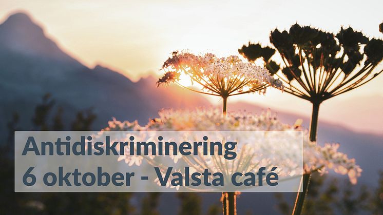 Delta i Skyddsvärnets webinarium om antidiskriminering den 6 oktober.