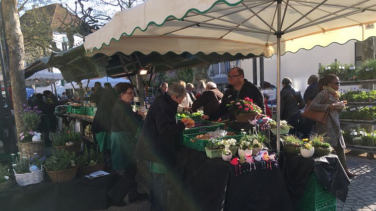 Hur kommer marknaden och lönsamheten förändras?