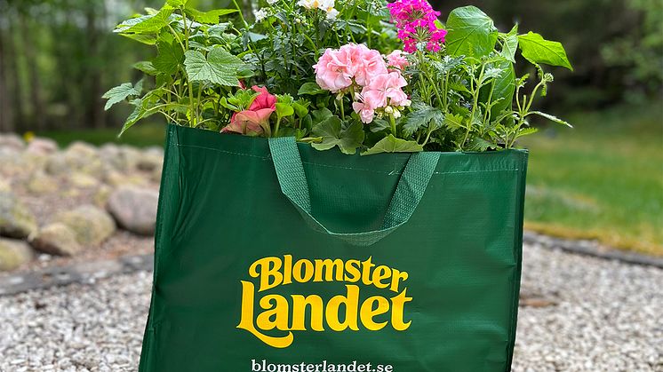Blomsterlandet Blomveckorna Från Sverige 2024 tävling.jpg