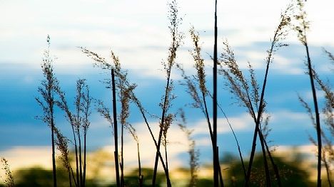 Mer förnybar energi i skånska kommuner 