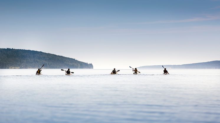 Sommarhälsningar från Höga Kusten