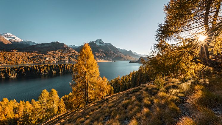 Silsersee im Herbst @ Schweiz Tourismus, Andreas Gerth