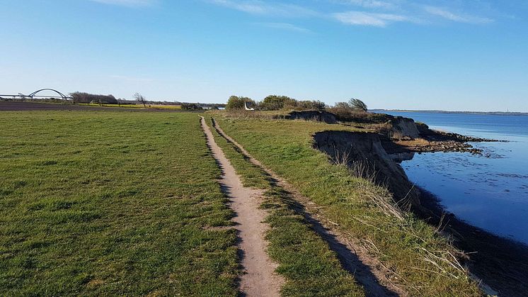 Einmal mit dem Fahrrad rund um die Insel © Tourismus-Service Fehmarn_Sina Schweyer