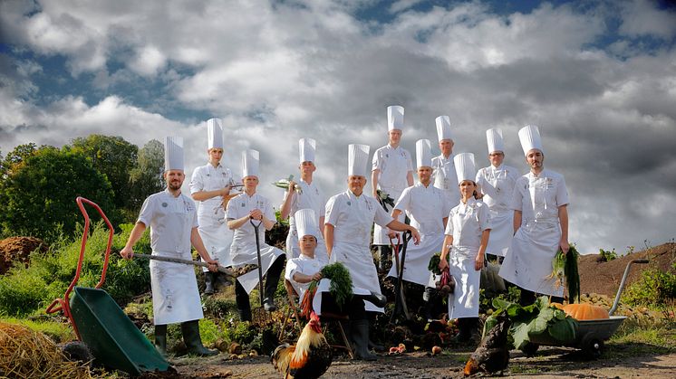 Svenska Kocklandslaget, pressbild