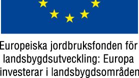 EU-flagga+Europeiska+jordbruksfonden+färg.JPG