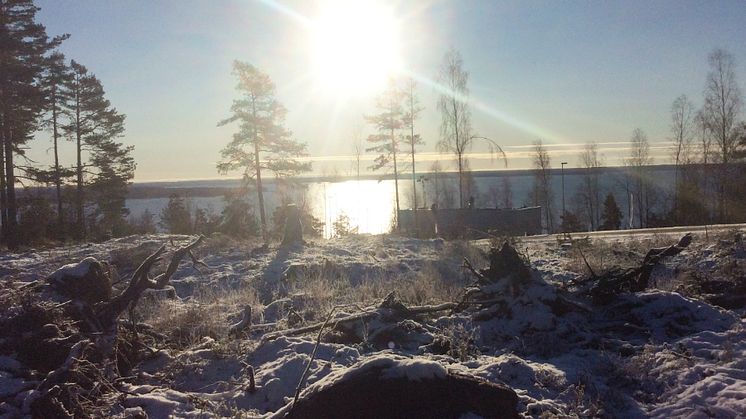 Här kommer Riksbyggen att uppföra  50 radhus och 24 lägenheter.