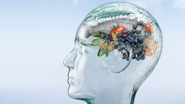 Brain food – putting science on the menu