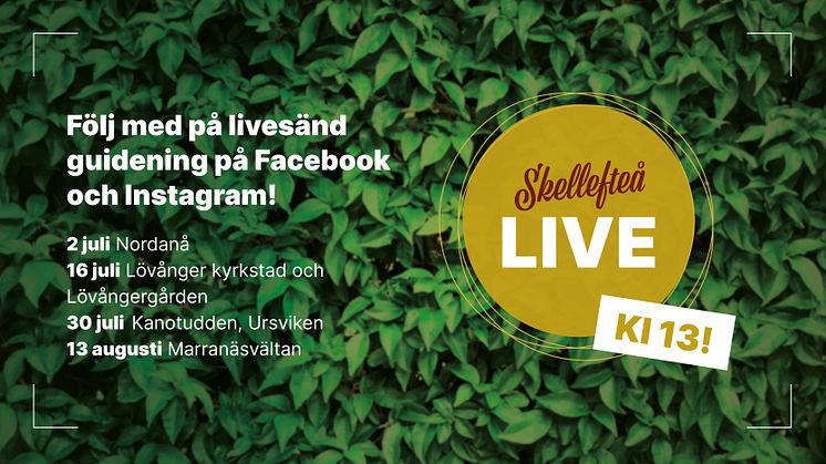 Skellefteå Live – tillbaka i sommar