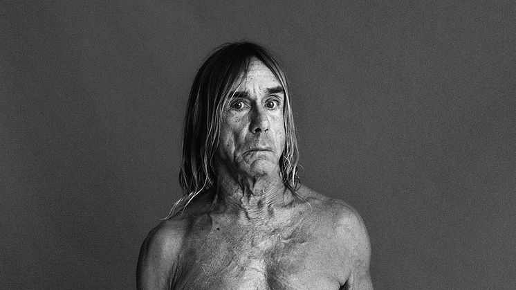 Iggy Pop till Gröna Lund i sommar