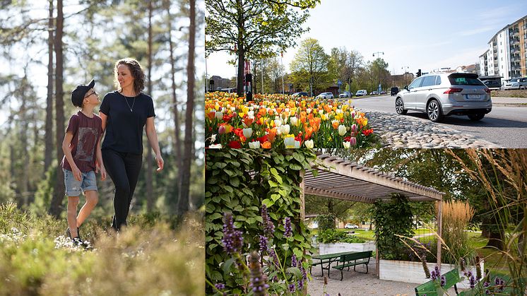 Satsningar på ny rondell, stadspark och trygghetsstråk